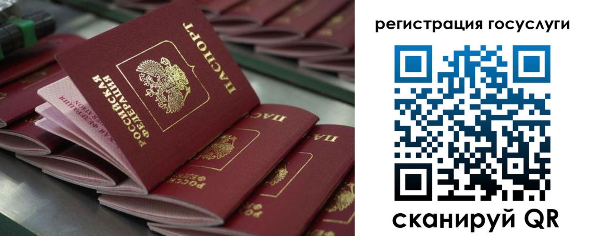 прописка 2025 в Лесозаводске